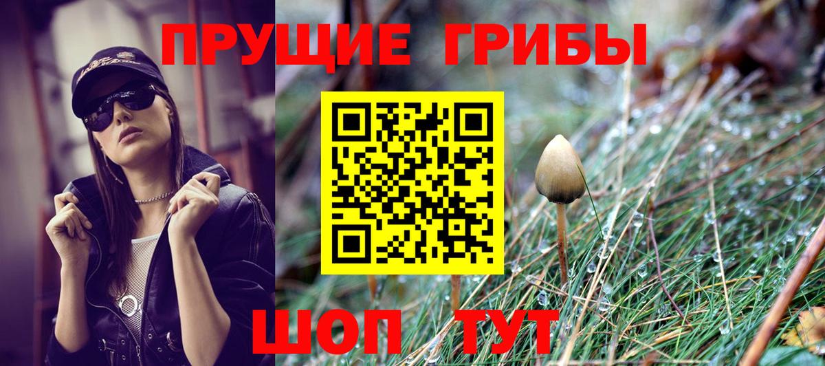 Псилоцибиновые грибы Cubensis Городец